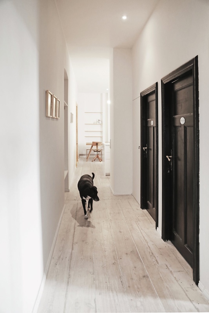 #Dog in the #hallway of a Berliner #apartment. #PoorButSexy by #HagarAbiri. Photo by #DianeAdam.