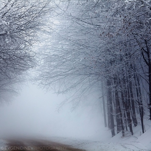Lost Way - Evgeni Dinev Photography #trees #snow