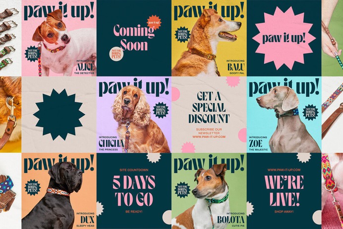 Paw It Up!