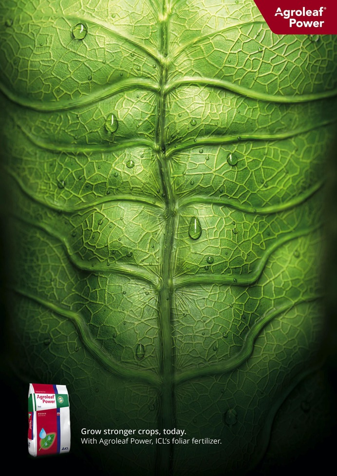 ICL / Agroleaf Power: Grow stronger crops