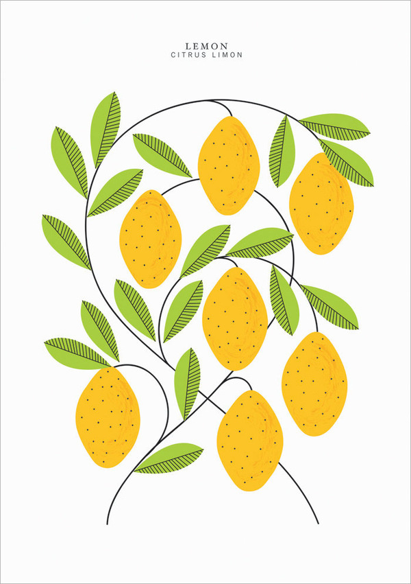 EtsyFinds_SarahAbbot_06 #lemon #illustration