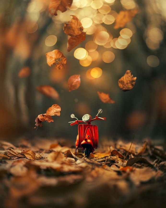 Whimsical and Dreamlike Still Life Photography by Ashraful Arefin