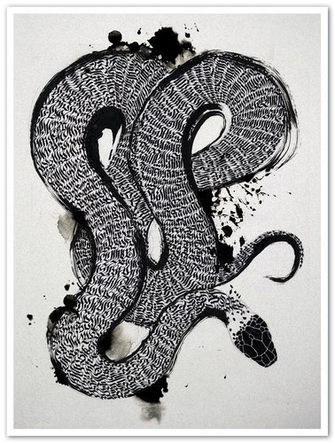 A E R O S Y N - L E X #snake #type #illustration #typography