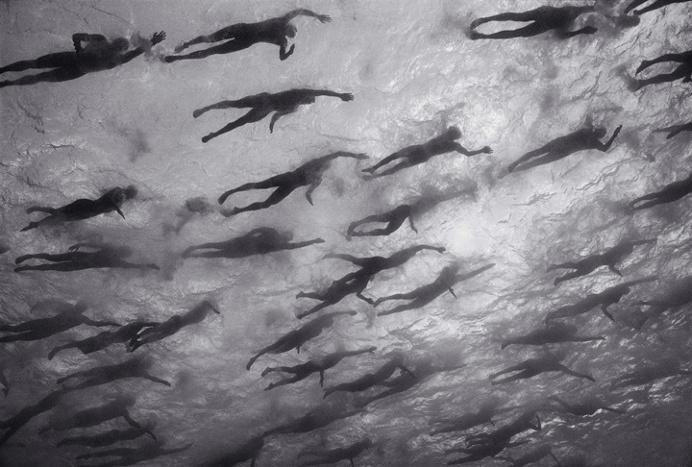 wayne levin