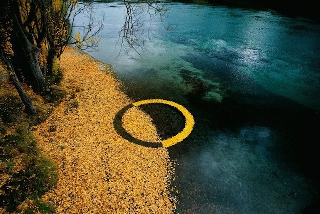 Circular Installations in Nature – Fubiz™ #nature