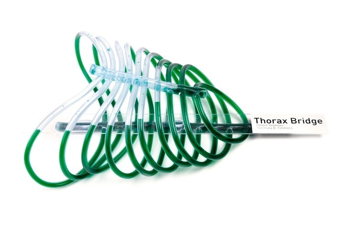 Thorax Bridge by Niermala B. Timmers www.niermalatimmers.com #model #maquette #spatial #fluid #medication #backbone #plexiglas #bridge #bloodstream #green #scale #frame #ink #design #chest #human #roof #spatially #handmade #hospital #glas #skeleton #road #thorax #tubes #canopy #death #life #dimentional #nature #pure #glue #infusion