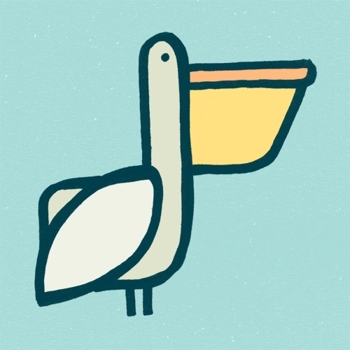The Birds & The Birds #pelican #bird #birds #illustration #pen