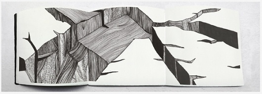 Paisaje Taquigráfico on the Behance Network #diego #ink #pinzon #book #illustration #diary #editorial
