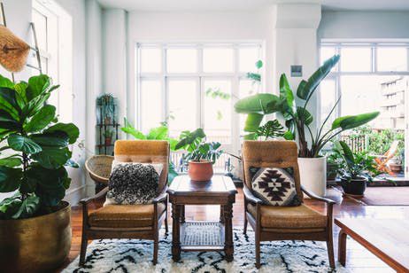 Plant-Filled New Zealand Vintage Loft Home Tour | Apartment Therapy