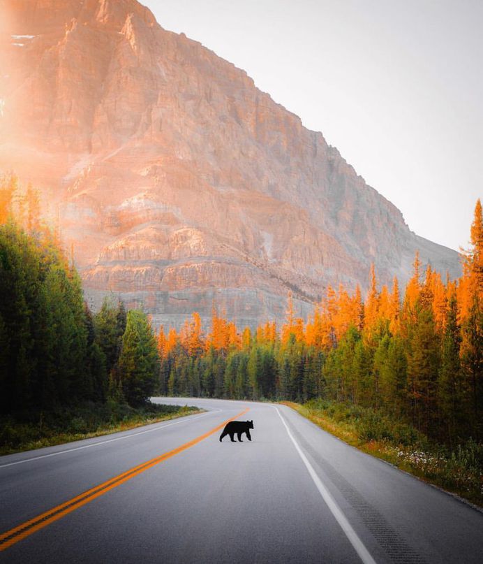 Astounding Travel Landscape Photography by Jake Guzman