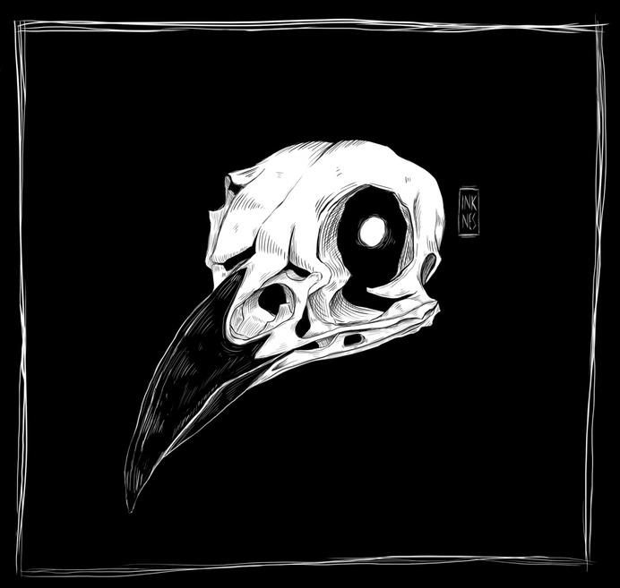 Crow skull by Inknes