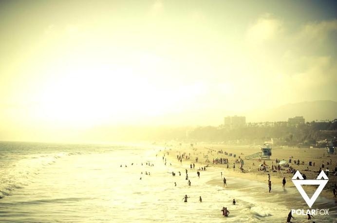 Post photos to multiple social networks at once with Polarfox! Get a beta invite: http://www.polarfox.com #ocean #palms #sunshine #oc #usa #beach #california