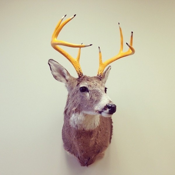 e214604c969511e3ba1612f19a0f09aa_8.jpg (640×640) #interior #antlers #deer #design #studio #pencils