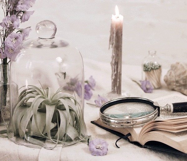 Cinemagraphs by Ann Street Studio #inspiration #photography #cinematography