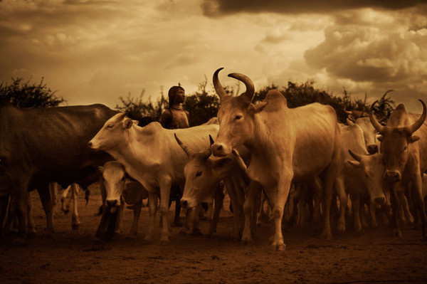 Diego Arroyo #inspiration #photography #travel