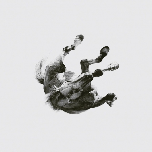 69834_CoverArt_DARKISTHEWAYLIGHTISA_300RGB_original.jpg (JPEG Image, 1280x1280 pixels) - Scaled (68%) #album #white #black #illustration #art