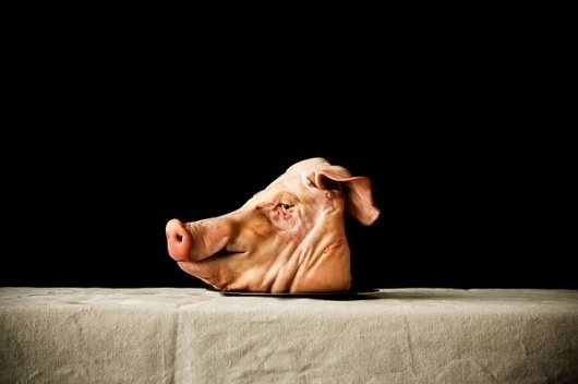 Food Photography by Aaron Graubart » Creative Photography Blog #inspiration #photography #food