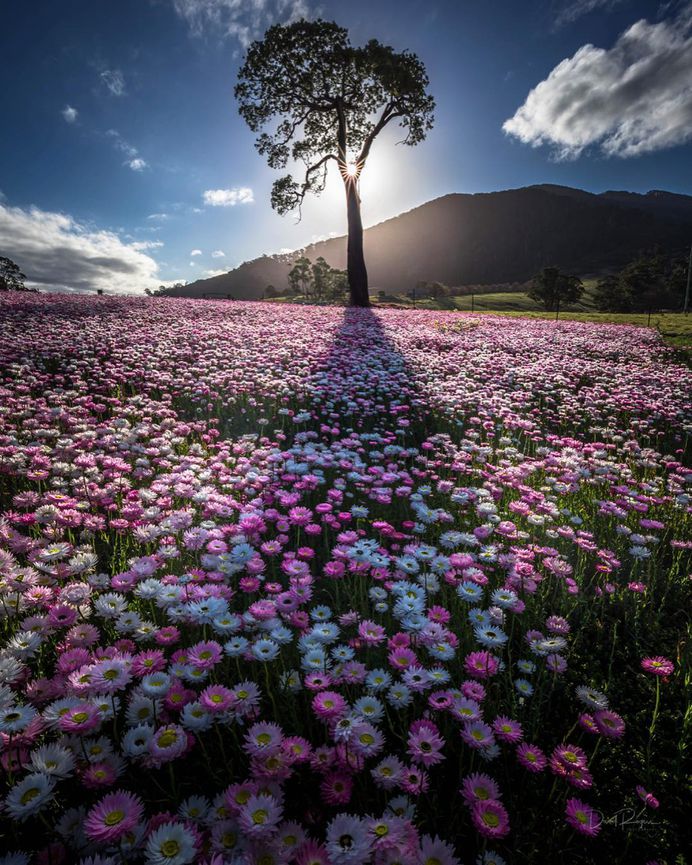 Astonishing Landscapes in Australia by Davey Rogers