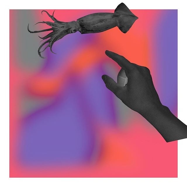 Squid in the sky