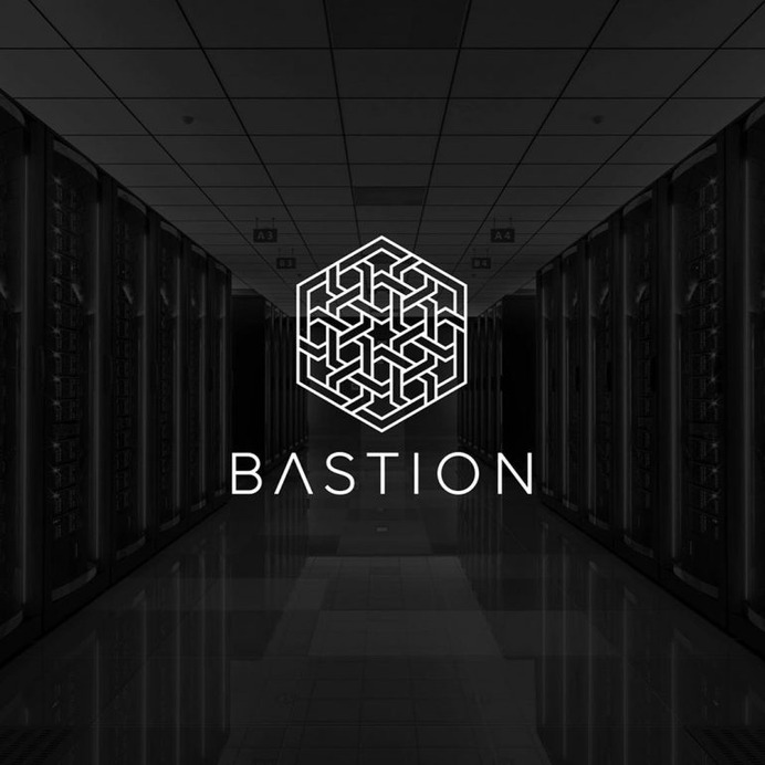 BASTION THEORY.