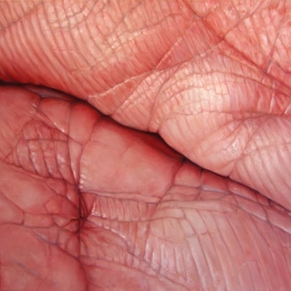 Flesh fields Edie Nadelhaft's paintings #artwork #paintings
