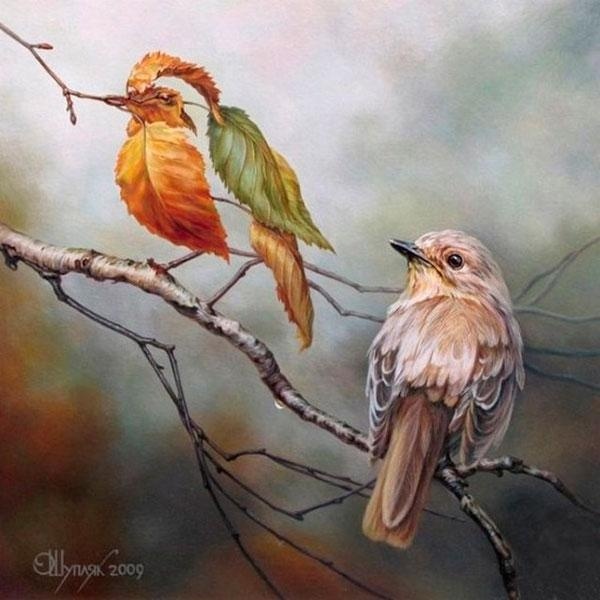 Incredible Optical Illusions by Oleg Shuplyak #shuplyak #optical #illusions #oleg
