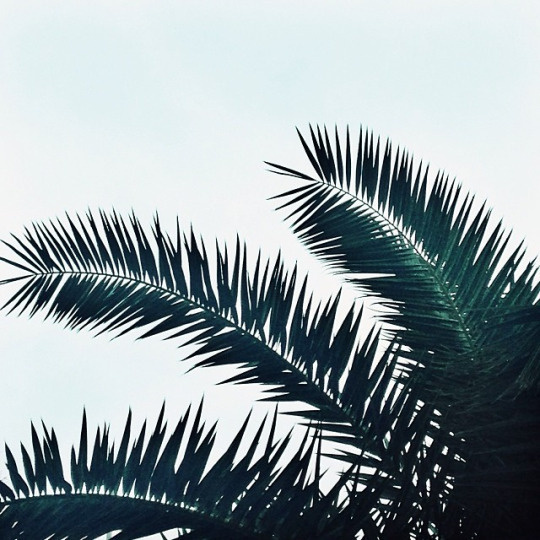 nature