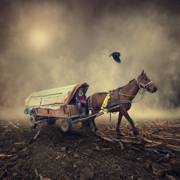 Caras Ionut #photography #manipulations #art