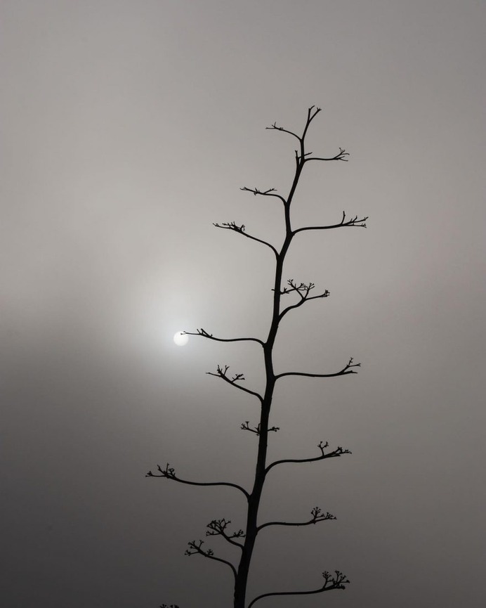 Minimalist and Cinematic iPhone Photography by Dirk Fleischmann