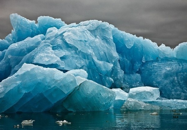 The Last Iceberg by Camille Seaman #inspiration #photography #nature