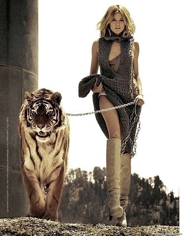 Tiger #fashion #tiger