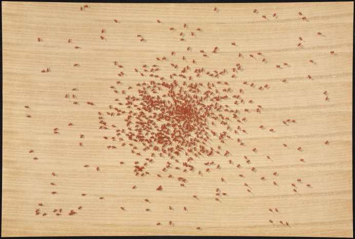 ruscha ants red wood screen print