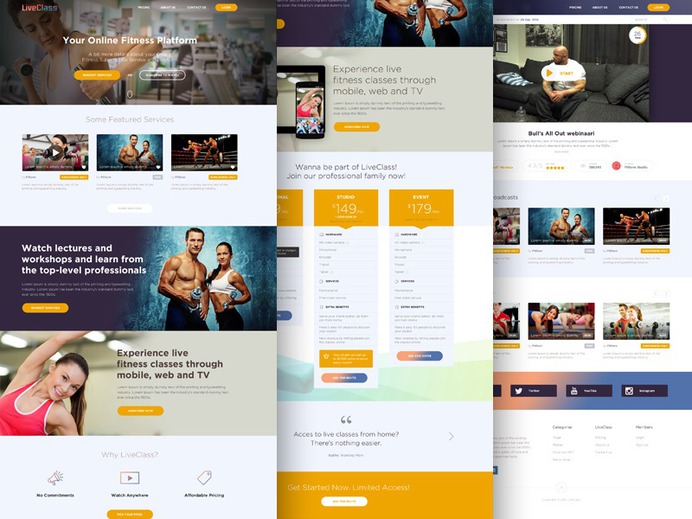 website designer in chandigarh