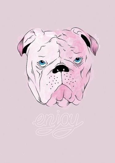 Enjoy on the Behance Network #pitbull #jones #typography #enjoy #illustration #chelsea #dog