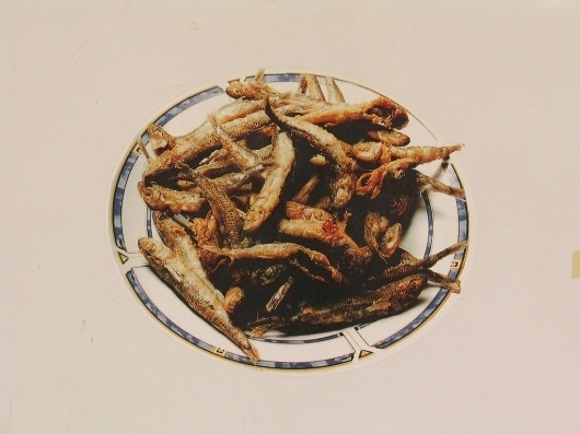 TMEP &mdash; Archive #photography