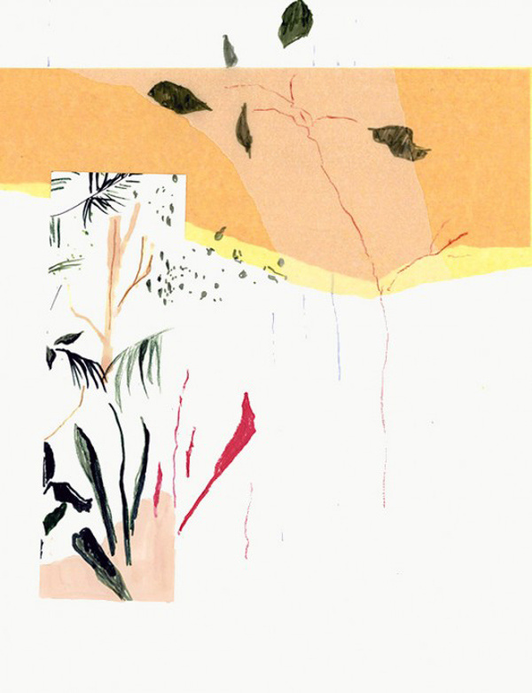 alicia galer