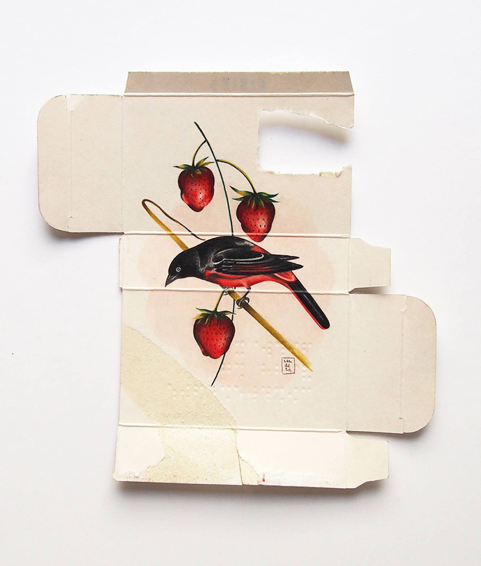 New Birds Painted on Pharmaceutical Packaging by Sara Landeta