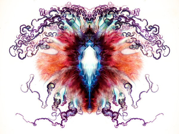 Psychedelic Portuguese Man of War Photos #of #color #war #mirror #photography #sea #man