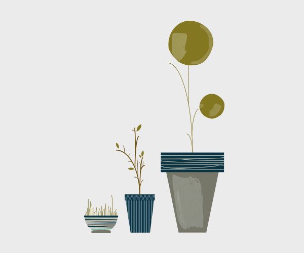 xc2xa9 Local View on Behance #green #illustrations #brushes #flowers #athens
