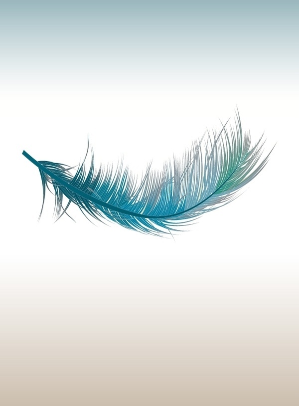 Pluma #bazaar #illustration #twitter #harpers