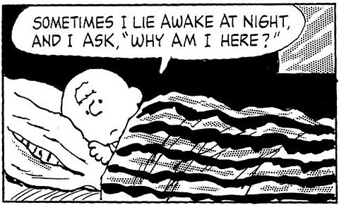FFFFOUND! | schulz_flipbook_06.jpg 500×303 pixels #brown #charlie