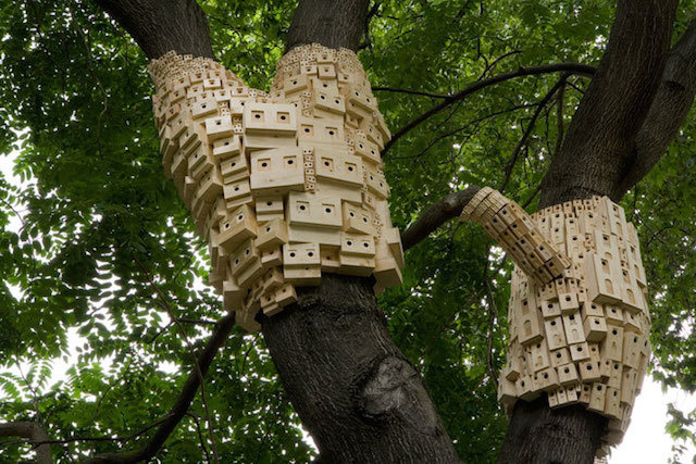 Bunches of Birdhouses Wrapped Around Trees – Fubiz™ #birdhouse