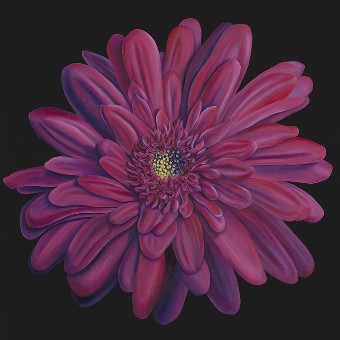 daisy painting & daisy paint by number #painting