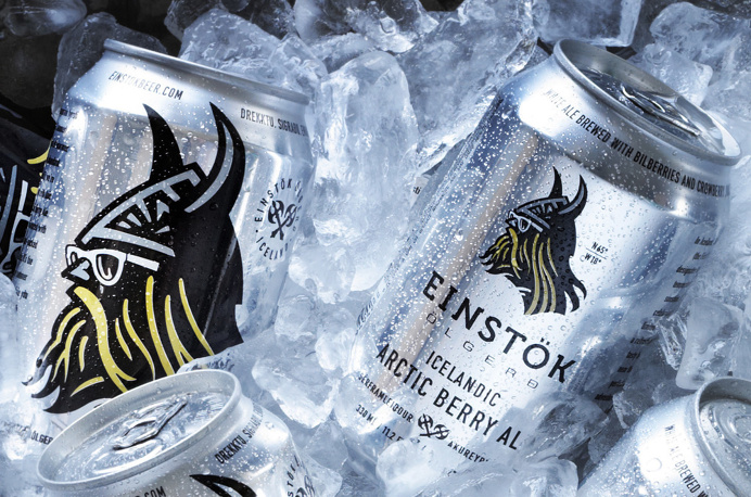Einstok Arctic Berry Ale