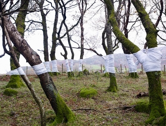 Zander Olsen's Tree Line Project | Trendland: Fashion Blog & Trend Magazine #photography #illusion #installation