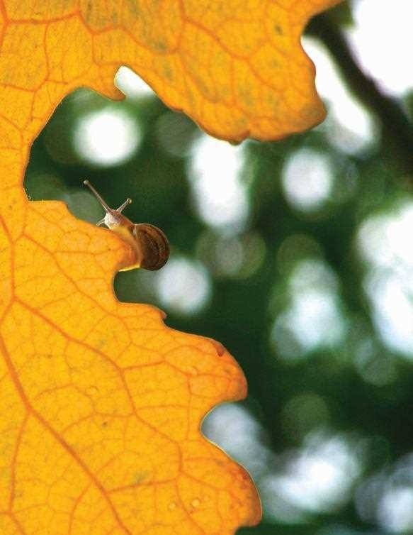The Winners of the National Geographic Kids International Photography Contest