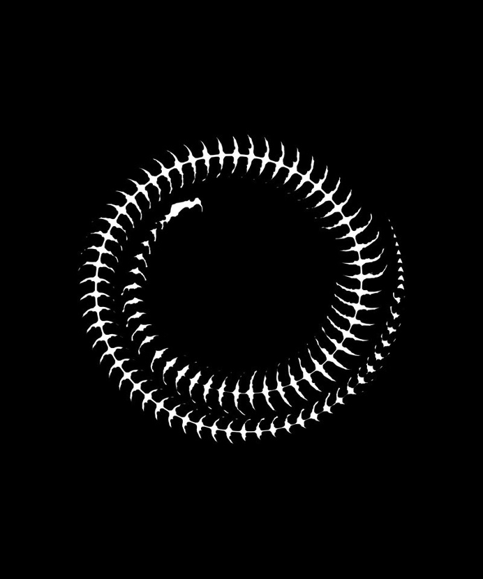 Snake Spiral on Behance