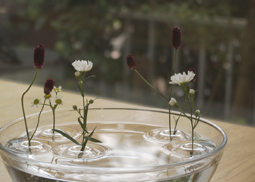 CJWHO ™ ("Floating Vase / RIPPLE #creative #amazing #vase #design #floating #ripple #clever