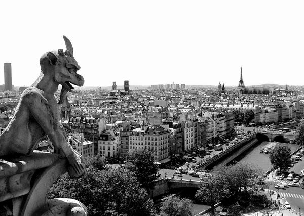 Rooftop of Notre Dame #rooftop #of #dame #notre