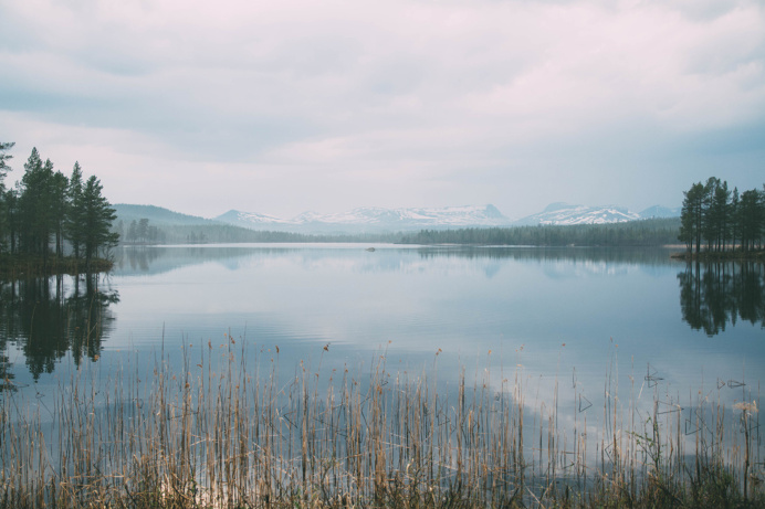 jonadahl.tumblr.com - North of sweden #sweden #nature #lake